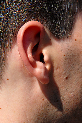 포토 JPG 해외이미지 백인 남자 곡선 신체 부분 건강 사람 성인 사람없음 빨간색 갈색 듣기 흰색 반지 닫기 비밀 귓속말 피부 오브젝트 귀 서명 경보 벌거벗은 이해 적갈색 해외202004 해외202105 해외포토 서양인 선 컬러 컨셉 장신구 모션 신체부위 파일형식