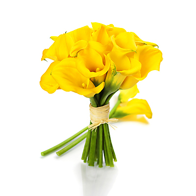 포토 JPG 해외이미지 꽃다발 실내 사람없음 카라 흰배경 칼라꽃 해외202004 해외포토 꽃 백그라운드 내부 흰색 파일형식