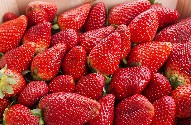 포토 JPG 해외이미지 잎 과일 재료 탁자 딸기 디저트 건강 사람없음 목재 여름 수확 시골 고명 달콤 설탕 먹기 건강식 정물화 해외202004 해외202105 해외포토 나무 식물 계절 음식 가구 농업 모션 맛 그림 파일형식