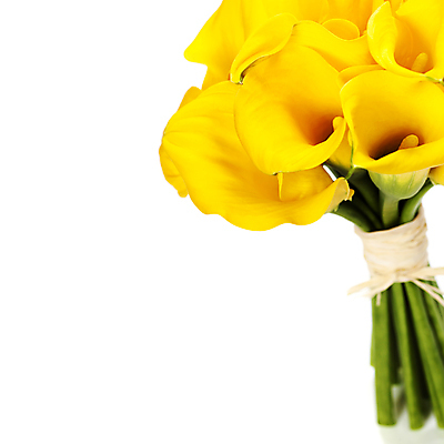 포토 JPG 해외이미지 꽃다발 실내 근접촬영 사람없음 카라 흰배경 칼라꽃 카피스페이스 해외202004 해외포토 꽃 뷰포인트 백그라운드 내부 공백 흰색 파일형식