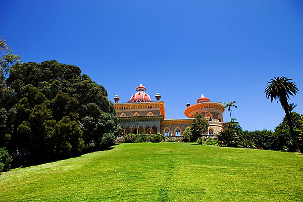 포토 JPG 해외이미지 나무 외관 유럽 여행 건축양식 하늘 주택 미술 풍경 사람없음 야외 건물 탑 궁전 꿈 낭만 수확 골동품 보호 왕 포르투갈 천연기념물 고딕 리스본 신트라 해외202004 해외202105 해외포토 식물 건축물 건축 나라 컨셉 고건축 농업 문화예술 파일형식