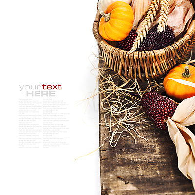 포토 JPG 해외이미지 호박 실내 타이포그라피 사람없음 농작물 바구니 벼 가을 볏짚 흰배경 나무바닥 추수감사절 카피스페이스 흑찰옥수수 해외202004 해외포토 문자 계절 기독교 백그라운드 농업 채소 곡류 바닥 내부 공백 흰색 짚 찰옥수수 파일형식