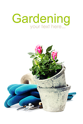 포토 JPG 해외이미지 화분 장갑 실내 사람없음 장미 흰배경 원예 화초가위 해외202004 해외포토 잡화 꽃 백그라운드 가위_도구 취미 내부 흰색 파일형식