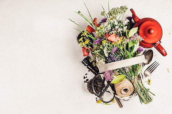 포토 JPG 해외이미지 꽃다발 포크 실내 사람없음 하이앵글 숟가락 들꽃 찻주전자 흰배경 담기 꽃바구니 노끈 카피스페이스 해외202004 차거름망 해외포토 식기 꽃 줄 뷰포인트 백그라운드 모션 주전자 수저 내부 바구니 공백 흰색 파일형식