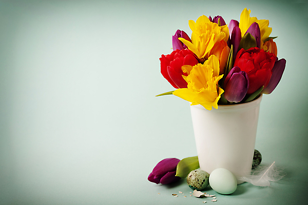 포토 JPG 해외이미지 화분 꽃다발 봄꽃 부활절 실내 사람없음 튤립 깃털 부활절계란 카피스페이스 민트색배경 해외202004 해외포토 기념일 꽃 백그라운드 내부 계란 봄 공백 민트색 파일형식