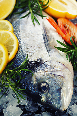 포토 JPG 해외이미지 새우 실내 어류 요리 사람없음 얼음 레몬 해산물 로즈메리 해외포토 자연요소 과일 갑각류 내부 수중동물 허브 파일형식