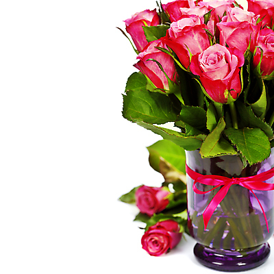 포토 JPG 해외이미지 리본 잎 실내 근접촬영 사람없음 장미 꽃병 흰배경 담기 해외202004 해외포토 식물 꽃 뷰포인트 백그라운드 모션 내부 흰색 파일형식