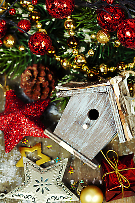 포토 JPG 해외이미지 별 크리스마스장식 크리스마스 사람없음 선물상자 하이앵글 크리스마스트리 나무바닥 새장 오너먼트 해외202004 해외포토 자연요소 기념일 뷰포인트 바닥 선물 상자 케이지 파일형식