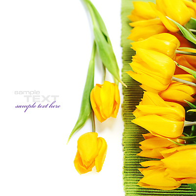 포토 JPG 해외이미지 꽃다발 실내 타이포그라피 사람없음 튤립 흰배경 카피스페이스 해외202004 해외포토 문자 꽃 백그라운드 내부 공백 흰색 파일형식