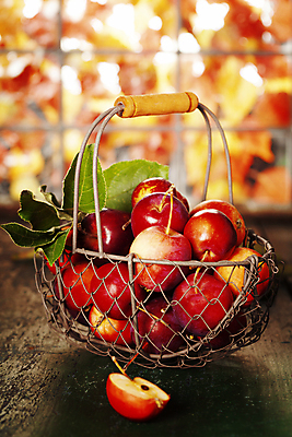 포토 JPG 해외이미지 실내 사람없음 아웃포커스 신선 사과 담기 사과바구니 해외202004 해외포토 과일 모션 촬영기법 내부 바구니 파일형식