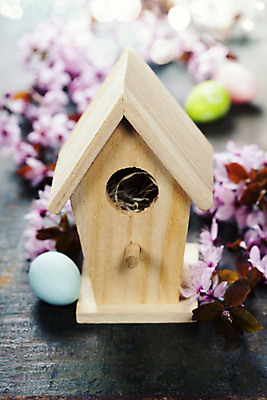 포토 JPG 해외이미지 부활절 사람없음 아웃포커스 벚꽃 나뭇가지 부활절계란 보케 새장 메추리알 빛망울 나무탁자 해외202004 해외포토 나무 기념일 꽃 탁자 촬영기법 빛 계란 알 케이지 파일형식