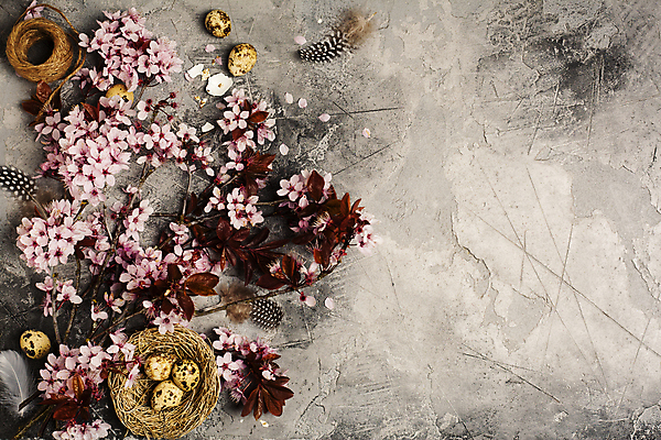 포토 JPG 해외이미지 꽃잎 봄꽃 회색배경 부활절 실내 사람없음 벚꽃 둥지 깃털 노끈 메추리알 카피스페이스 해외202004 해외포토 기념일 꽃 줄 백그라운드 내부 알 봄 공백 회색 파일형식