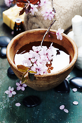 포토 JPG 해외이미지 꽃잎 실내 사람없음 물 수건 벚꽃 사발 나무바닥 스파용품 아로마테라피 스톤 꽃가지 허브볼 해외202004 해외포토 자연요소 꽃 바닥 내부 위생용품 스파 나뭇가지 사기그릇 오브젝트 테라피 파일형식