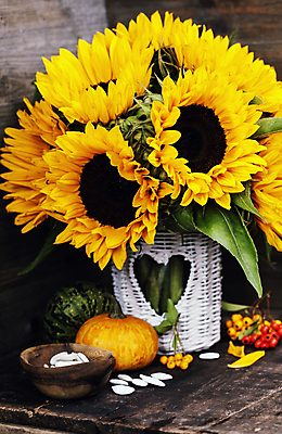 포토 JPG 해외이미지 호박 해바라기 실내 사람없음 하트 해외202004 해외포토 모양 꽃 채소 내부 파일형식