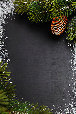 포토 JPG 해외이미지 잎 크리스마스 크리스마스용품 검은배경 프레임 실내 사람없음 눈 솔방울 카피스페이스 크리스마스배경 해외202004 해외포토 자연요소 식물 기념일 백그라운드 날씨 내부 검은색 공백 용품 파일형식