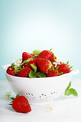 포토 JPG 해외이미지 그릇 꽃 딸기 실내 사람없음 담기 파란배경 딸기잎 해외202004 해외포토 식물 식기 백그라운드 잎 과일 모션 내부 파란색 파일형식