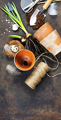 포토 JPG 해외이미지 꽃 화분 사람없음 하이앵글 흙 둥지 모종삽 깃털 원예 노끈 메추리알 원예용품 카피스페이스 갈색배경 해외202004 해외포토 식물 줄 뷰포인트 생활용품 백그라운드 취미 갈색 알 공백 삽 파일형식