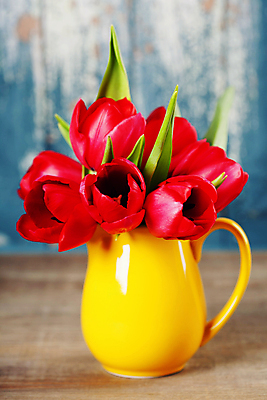 포토 JPG 해외이미지 실내 사람없음 아웃포커스 꽃병 튤립 원예 파란배경 해외202004 해외포토 꽃 백그라운드 촬영기법 취미 내부 파란색 파일형식