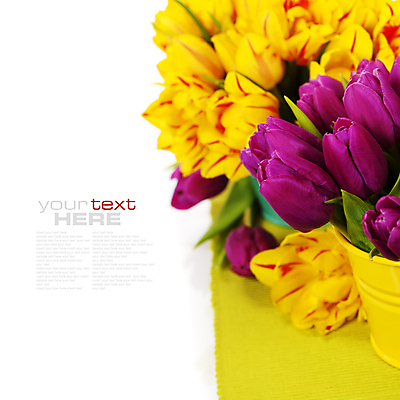 포토 JPG 해외이미지 화분 꽃다발 실내 타이포그라피 사람없음 튤립 흰배경 카피스페이스 해외202004 해외포토 문자 꽃 백그라운드 내부 공백 흰색 파일형식