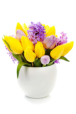 포토 JPG 해외이미지 꽃다발 봄꽃 실내 사람없음 꽃병 튤립 흰배경 히아신스 해외202004 해외포토 꽃 백그라운드 내부 봄 흰색 파일형식