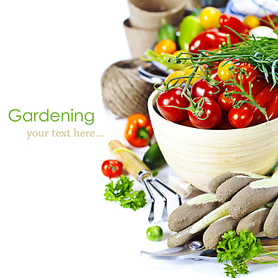 포토 JPG 해외이미지 그릇 장갑 방울토마토 피망 실내 사람없음 달콤 모종삽 흰배경 노끈 갈퀴 화초가위 해외202004 해외포토 식기 잡화 줄 백그라운드 토마토 채소 가위_도구 내부 흰색 맛 삽 파일형식
