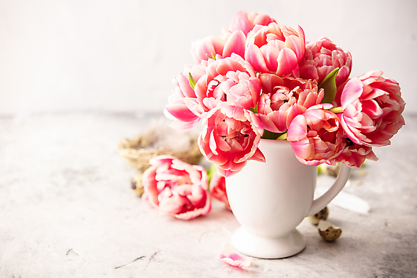 포토 JPG 해외이미지 꽃다발 부활절 실내 사람없음 꽃병 튤립 흰배경 메추리알 알껍데기 해외202004 해외포토 기념일 꽃 백그라운드 내부 알 흰색 파일형식