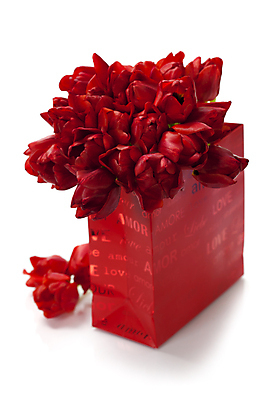 포토 JPG 해외이미지 꽃다발 발렌타인데이 사람없음 쇼핑백 튤립 흰배경 해외202004 해외포토 꽃 백그라운드 가방 데이이벤트 흰색 파일형식