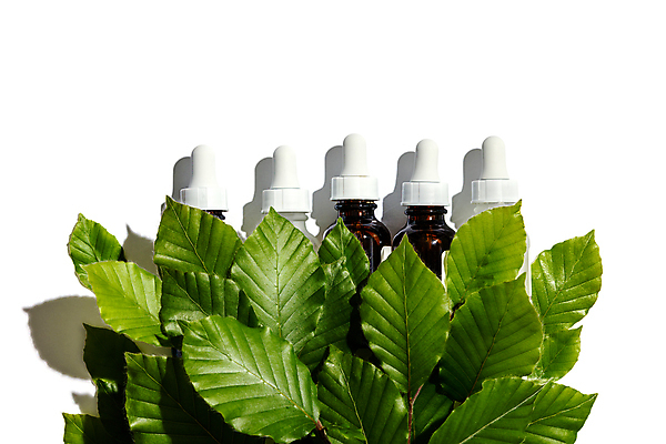 포토 JPG 해외이미지 잎 실내 사람없음 흰배경 아로마 아로마테라피 아로마오일 해외202004 해외포토 식물 백그라운드 내부 흰색 오일_화장품 테라피 파일형식