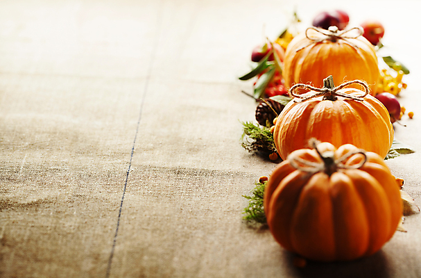 포토 JPG 해외이미지 리본 호박 실내 사람없음 농작물 가을 일렬 카피스페이스 해외202004 해외포토 계절 농업 채소 내부 공백 파일형식