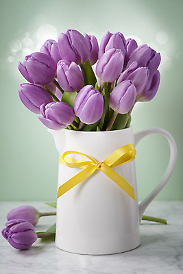 포토 JPG 해외이미지 리본 꽃다발 실내 사람없음 꽃병 튤립 빛망울 초록배경 해외202004 해외포토 꽃 백그라운드 내부 초록색 빛 파일형식