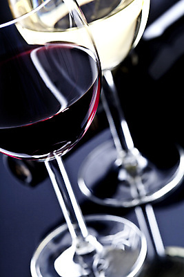 포토 JPG 해외이미지 사람없음 와인 낭만 나뭇가지 포도나무 카피스페이스 해외202004 해외포토 나무 컨셉 주류 공백 과일나무 파일형식