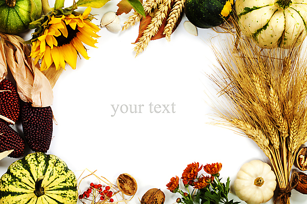 포토 JPG 해외이미지 열매 꽃 호박 해바라기 프레임 실내 타이포그라피 사람없음 농작물 벼 가을 흰배경 호두 카피스페이스 흑찰옥수수 해외202004 해외포토 식물 문자 계절 백그라운드 농업 채소 곡류 내부 공백 견과류 흰색 찰옥수수 파일형식