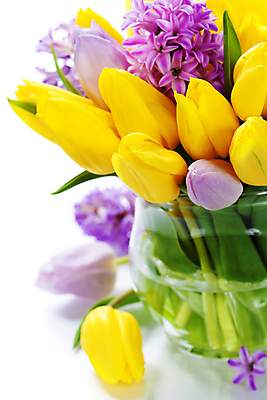 포토 JPG 해외이미지 꽃다발 봄꽃 실내 근접촬영 사람없음 꽃병 튤립 흰배경 히아신스 해외202004 해외포토 꽃 뷰포인트 백그라운드 내부 봄 흰색 파일형식