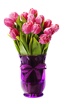 포토 JPG 해외이미지 꽃다발 실내 사람없음 꽃병 튤립 흰배경 해외202004 해외포토 꽃 백그라운드 내부 흰색 파일형식