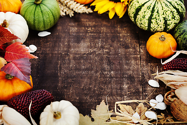 포토 JPG 해외이미지 낙엽 호박 해바라기 프레임 실내 사람없음 농작물 벼 가을 나무바닥 호두 흑찰옥수수 해외202004 해외포토 계절 꽃 잎 농업 채소 곡류 바닥 내부 견과류 찰옥수수 파일형식