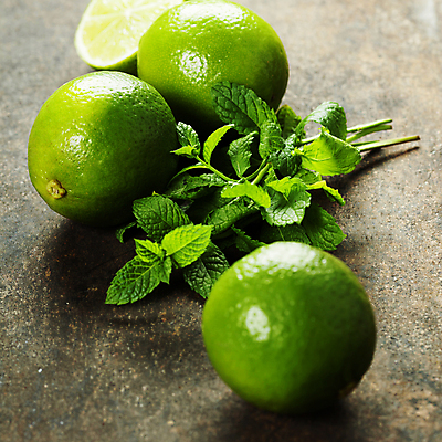 포토 JPG 해외이미지 회색배경 근접촬영 사람없음 민트 라임 모히토 해외202004 해외포토 뷰포인트 백그라운드 과일 회색 칵테일 허브 파일형식