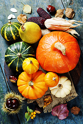 포토 JPG 해외이미지 열매 낙엽 호박 실내 사람없음 농작물 가을 밤 밤송이 삼베 나무바닥 추수감사절 흑찰옥수수 해외202004 해외포토 식물 계절 기독교 잎 농업 채소 바닥 내부 견과류 밤_견과류 찰옥수수 파일형식 천_직물