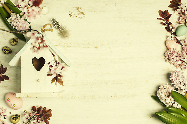 포토 JPG 해외이미지 잎 부활절 사람없음 하이앵글 벚꽃 나뭇가지 깃털 부활절계란 나무바닥 새장 메추리알 카피스페이스 해외202004 해외포토 나무 식물 기념일 꽃 뷰포인트 바닥 계란 알 공백 케이지 파일형식