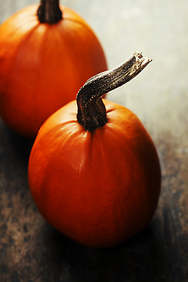 포토 JPG 해외이미지 호박 실내 사람없음 농작물 두개 가을 나무바닥 꼭지 해외202004 해외포토 계절 2 농업 채소 바닥 내부 파일형식