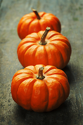 포토 JPG 해외이미지 호박 실내 사람없음 농작물 가을 세개 나무바닥 일렬 해외202004 해외포토 계절 농업 채소 바닥 3 내부 파일형식