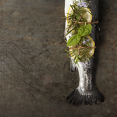 포토 JPG 해외이미지 실내 어류 사람없음 하이앵글 묶기 레몬 해산물 바질 노끈 로즈메리 무지개송어 카피스페이스 해외202004 해외포토 줄 뷰포인트 과일 모션 내부 수중동물 공백 허브 송어 파일형식