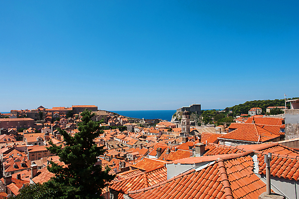 포토 JPG 해외이미지 전통 벽 바다 여행 건축양식 자연 지붕 휴가 휴식 거리 풍경 사람없음 여름 파란색 컬러풀 햇빛 성당 교회 탑 맑음 도시 중세 역사 큼 지중해 베네치아 방문 포인트 크로아티아 달마시안 두브로브니크 수녀원 옛날 파라다이스 해외202105 해외포토 건축물 계절 건축 유럽 컬러 컨셉 종교건축 날씨 건물 금융 태양 이탈리아 개 크기 생태계 파일형식