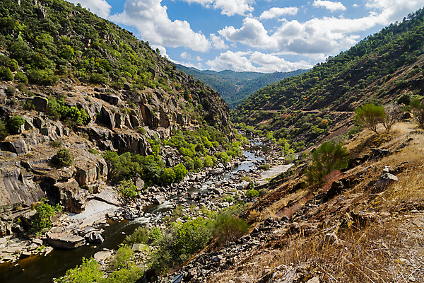 포토 JPG 해외이미지 나무 여행 자연 하늘 휴식 산 풍경 사람없음 야외 초록색 물 여름 강 침묵 숲 포르투갈 도루강 해외202105 해외포토 자연요소 식물 계절 유럽 컬러 컨셉 소리 생태계 파일형식