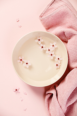 포토 JPG 해외이미지 그릇 꽃잎 실내 사람없음 물 하이앵글 수건 벚꽃 스파용품 아로마테라피 분홍색배경 해외202004 해외포토 자연요소 식기 꽃 뷰포인트 분홍색 백그라운드 내부 위생용품 스파 오브젝트 테라피 파일형식