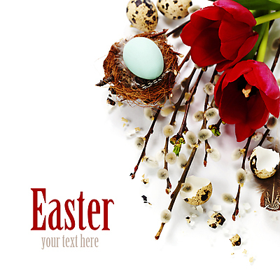 포토 JPG 해외이미지 부활절 사람없음 계란 튤립 나뭇가지 둥지 버드나무 흰배경 메추리알 해외202004 해외포토 나무 기념일 꽃 백그라운드 알 흰색 파일형식