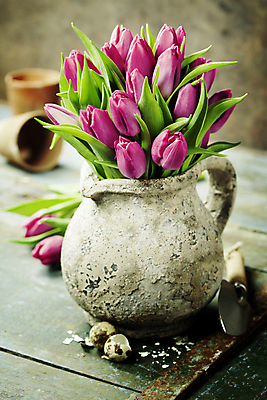 포토 JPG 해외이미지 꽃잎 화분 사람없음 아웃포커스 튤립 모종삽 나무탁자 해외202004 해외포토 꽃 탁자 촬영기법 삽 파일형식