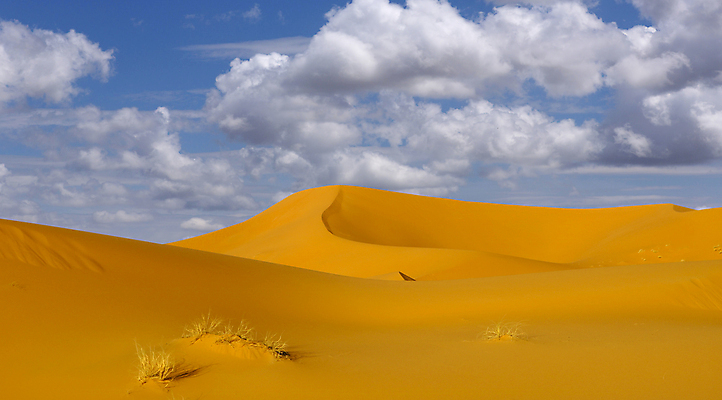 포토 JPG 해외이미지 모래 여행 백그라운드 아프리카 하늘 건조 그림자 풍경 사람없음 야외 여름 모래사장 일출 사막 뜨거움 저녁 그늘 모래언덕 언덕 모로코 사하라 해외202105 해외포토 계절 나라 바다 노을 야간 파일형식