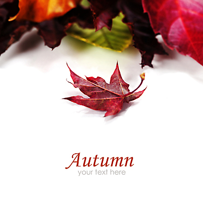 포토 JPG 해외이미지 실내 타이포그라피 사람없음 가을 흰배경 카피스페이스 해외202004 해외포토 문자 계절 백그라운드 내부 공백 흰색 파일형식