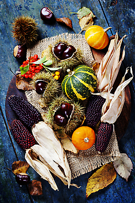 포토 JPG 해외이미지 낙엽 호박 실내 사람없음 농작물 가을 밤 밤송이 삼베 나무바닥 추수감사절 흑찰옥수수 해외202004 해외포토 계절 기독교 잎 농업 채소 바닥 내부 견과류 밤_견과류 찰옥수수 파일형식 천_직물