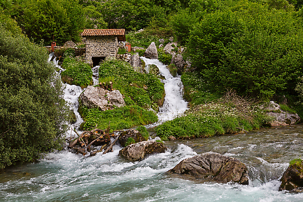 포토 JPG 해외이미지 나무 공원 유럽 여행 자연 산 주택 국립공원 풍경 사람없음 야외 초록색 물 강 환경 골짜기 폭포 흐름 바위 전원 개울 황무지 스페인 숲 내추럴 스페인어 해외202105 해외포토 자연요소 식물 공공시설 나라 컬러 컨셉 건물 돌_바위 전기에너지 생태계 파일형식